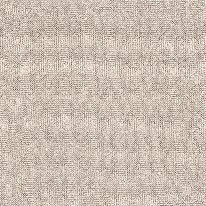 Anderson Tuftex Alluring — Birchbark · ZZ316-00121 — flooring selection with LeviArs Design & Remodeling