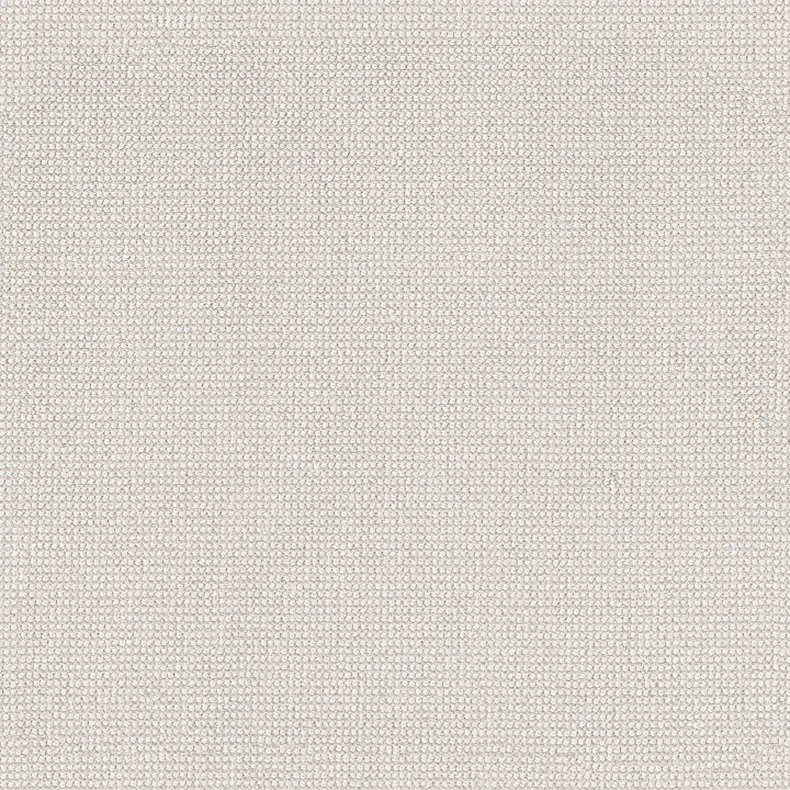Anderson Tuftex Alluring — Cotton · ZZ316-00111 — flooring selection with LeviArs Design & Remodeling