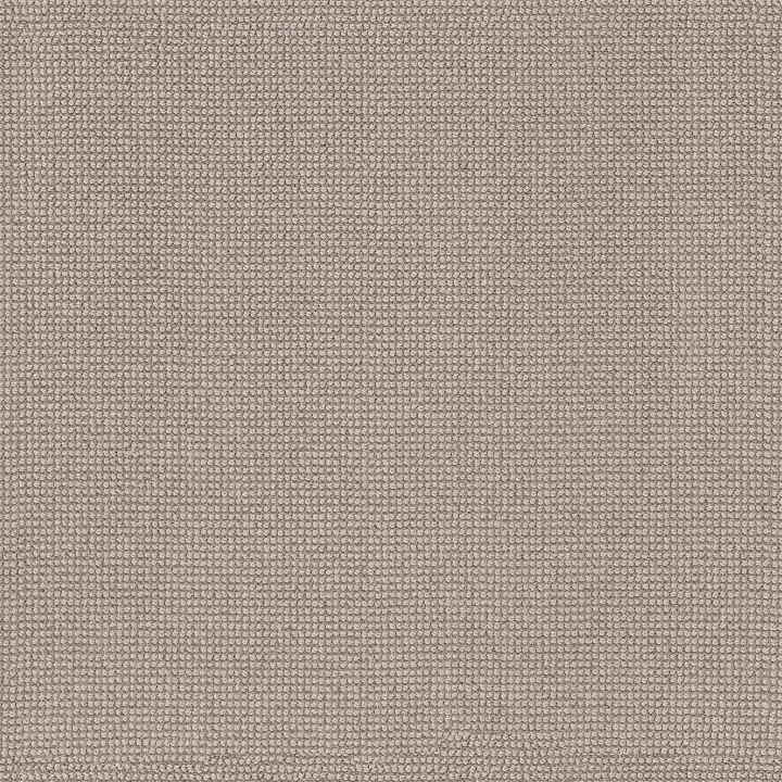 Anderson Tuftex Alluring — Gypsum · ZZ316-00171 — flooring selection with LeviArs Design & Remodeling