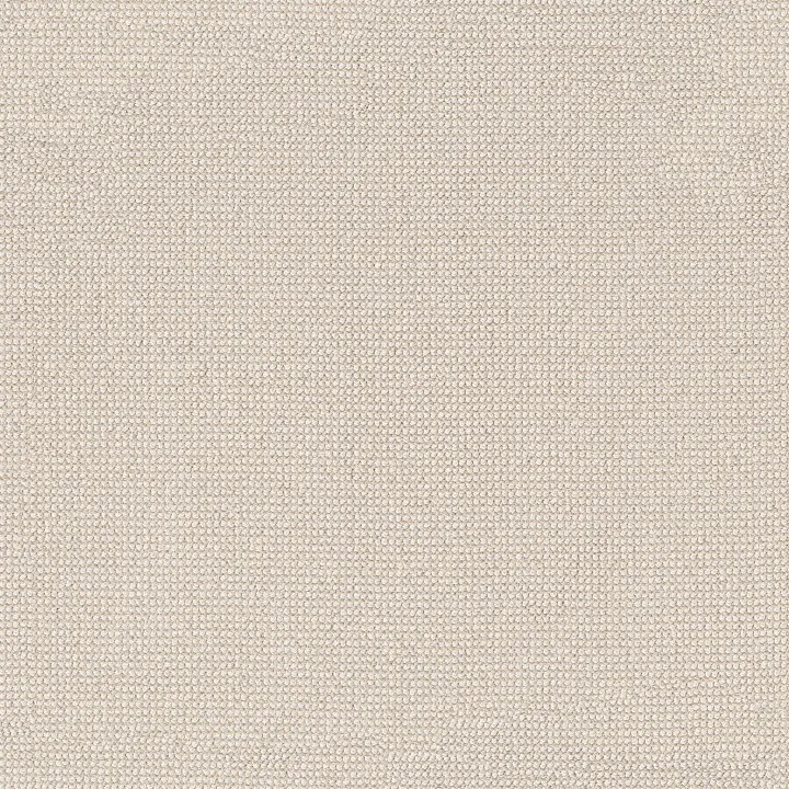 Anderson Tuftex Alluring — Ivory · ZZ316-00112 — flooring selection with LeviArs Design & Remodeling