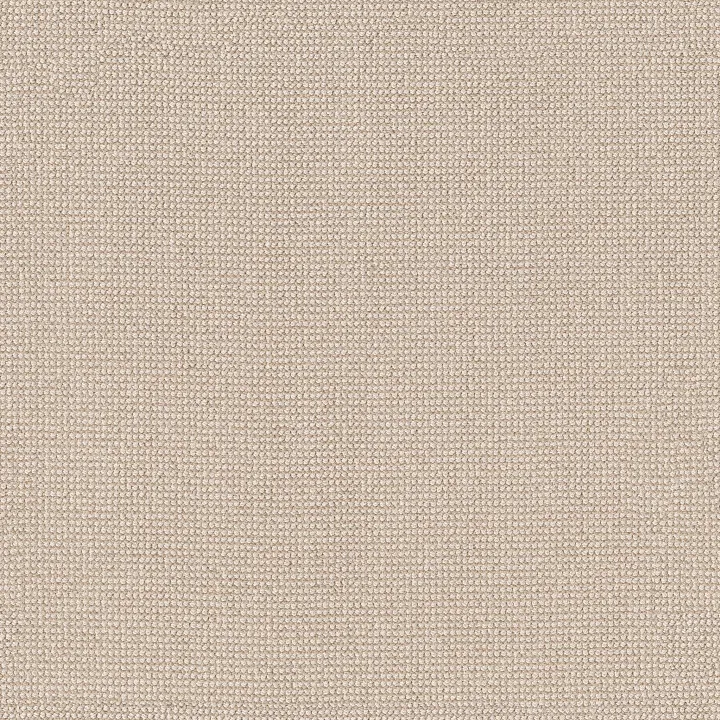 Anderson Tuftex Alluring — Papyrus · ZZ316-00113 — flooring selection with LeviArs Design & Remodeling