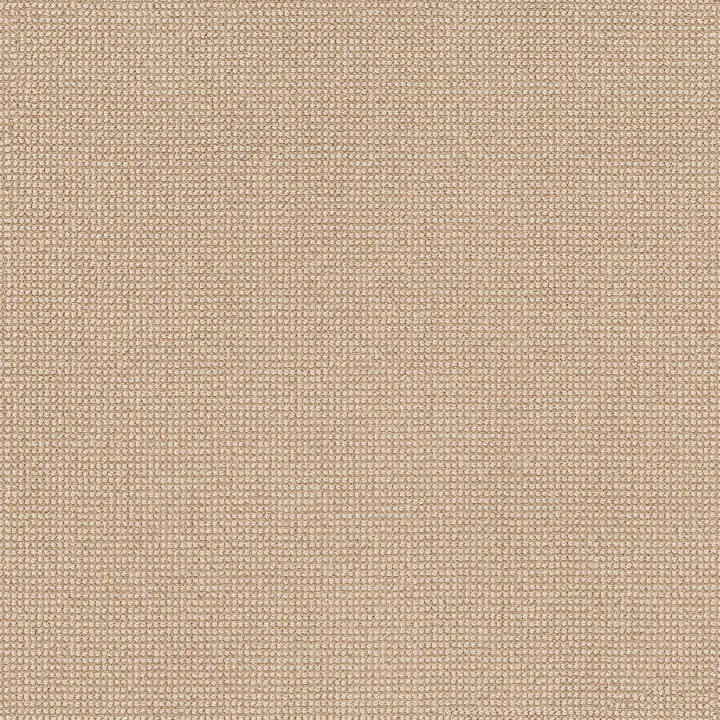 Anderson Tuftex Alluring — Straw · ZZ316-00222 — flooring selection with LeviArs Design & Remodeling