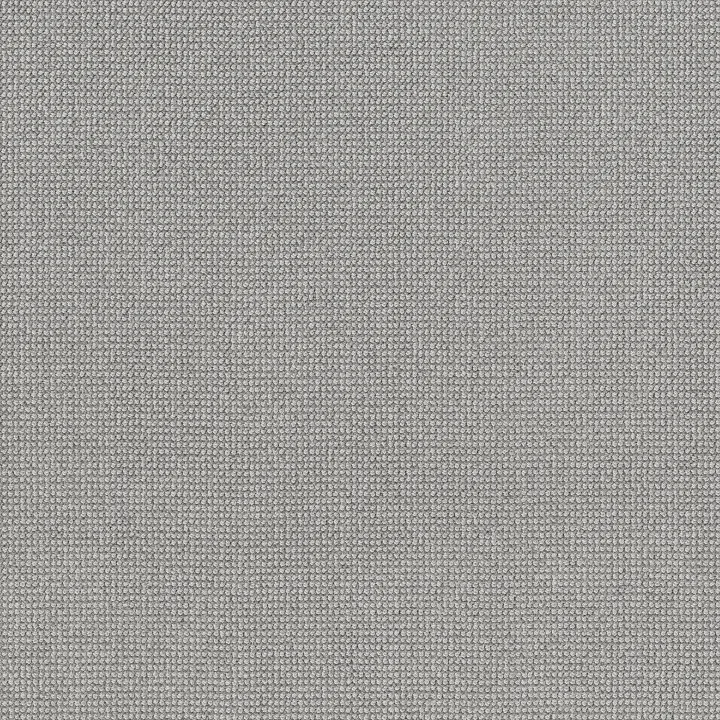 Anderson Tuftex Alluring — Titanium · ZZ316-00552 — flooring selection with LeviArs Design & Remodeling