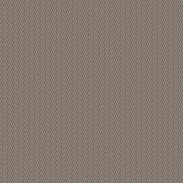 Anderson Tuftex Always Natural — Barrel · ZZ289-00755 — flooring selection with LeviArs Design & Remodeling