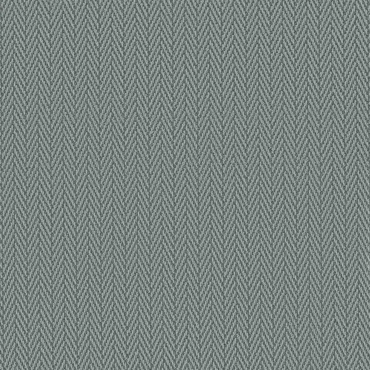 Anderson Tuftex Always Natural — Blue Fern · ZZ289-00348 — flooring selection with LeviArs Design & Remodeling