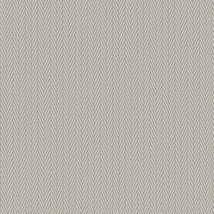 Anderson Tuftex Always Natural — Blustery · ZZ289-00352 — flooring selection with LeviArs Design & Remodeling