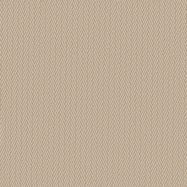Anderson Tuftex Always Natural — Boutique · ZZ289-00224 — flooring selection with LeviArs Design & Remodeling