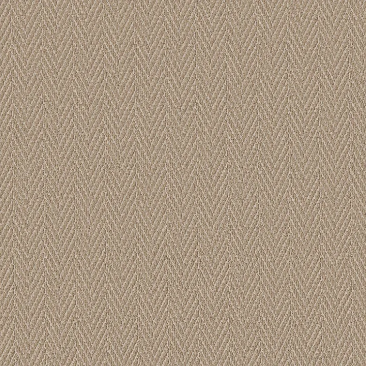 Anderson Tuftex Always Natural — Cork · ZZ289-00273 — flooring selection with LeviArs Design & Remodeling