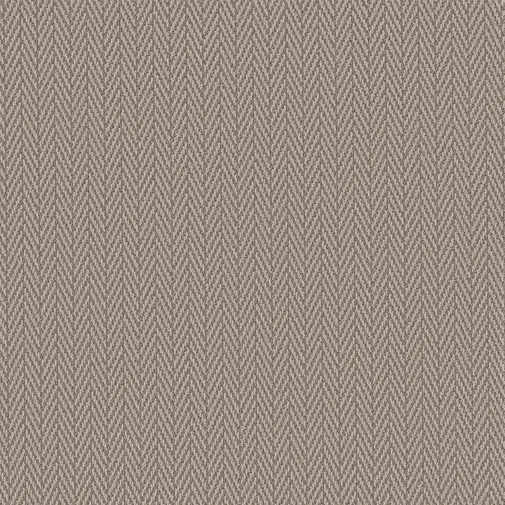 Anderson Tuftex Always Natural — Fossil · ZZ289-00753 — flooring selection with LeviArs Design & Remodeling