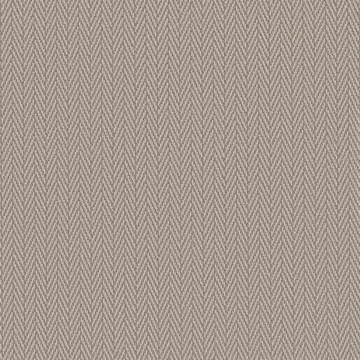 Anderson Tuftex Always Natural — Muslin · ZZ289-00172 — flooring selection with LeviArs Design & Remodeling