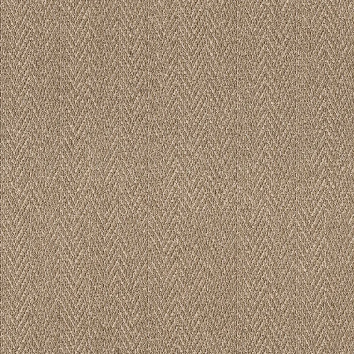 Anderson Tuftex Always Natural — Sailcloth · ZZ289-00275 — flooring selection with LeviArs Design & Remodeling