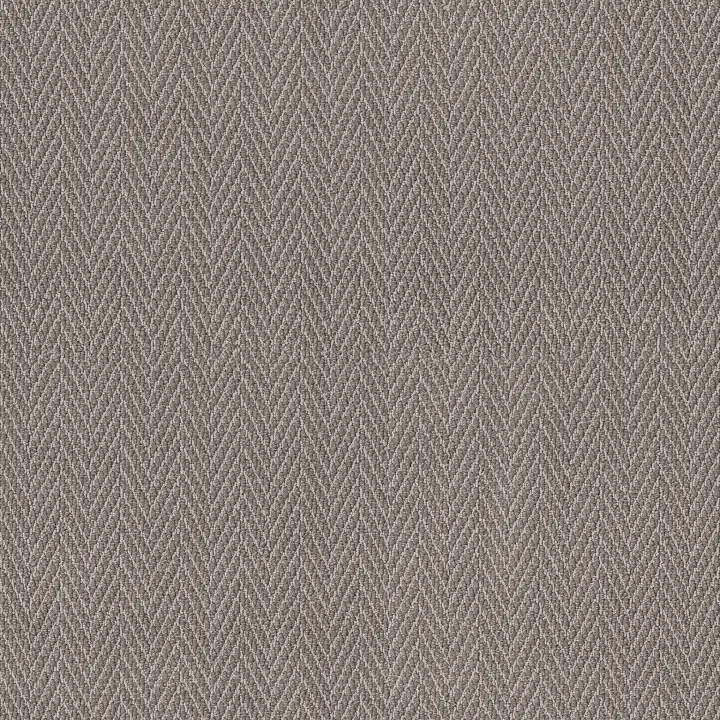 Anderson Tuftex Always Natural — Shady · ZZ289-00536 — flooring selection with LeviArs Design & Remodeling