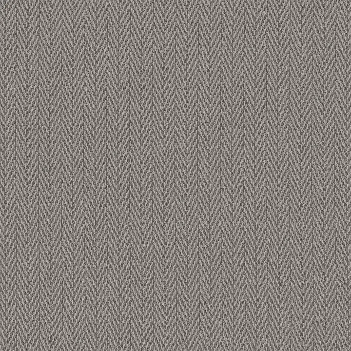 Anderson Tuftex Always Natural — Silver Polish · ZZ289-00546 — flooring selection with LeviArs Design & Remodeling