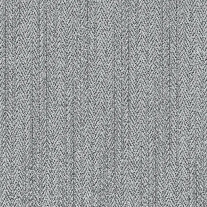 Anderson Tuftex Always Natural — Sky Glass · ZZ289-00435 — flooring selection with LeviArs Design & Remodeling