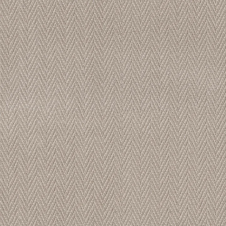 Anderson Tuftex Always Natural — Twine · ZZ289-00173 — flooring selection with LeviArs Design & Remodeling