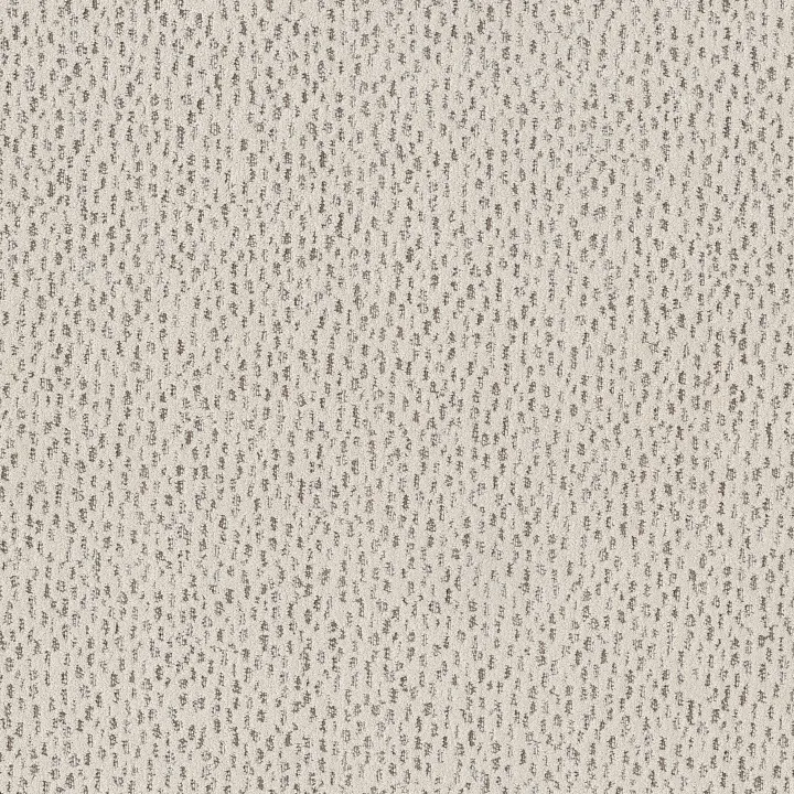 Anderson Tuftex Ambitious — Canvas · ZZ327-00102 — flooring selection with LeviArs Design & Remodeling