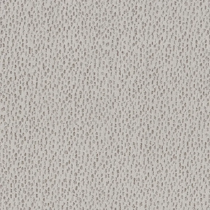 Anderson Tuftex Ambitious — Grey Fox · ZZ327-00112 — flooring selection with LeviArs Design & Remodeling