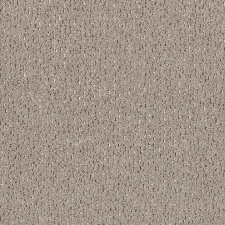 Anderson Tuftex Ambitious — Pebble Path · ZZ327-00700 — flooring selection with LeviArs Design & Remodeling