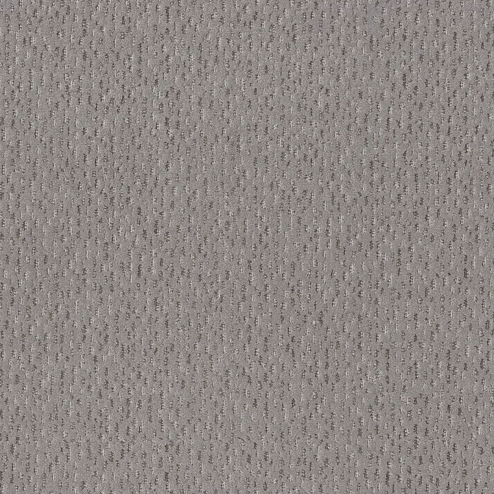 Anderson Tuftex Ambitious — Pewter · ZZ327-00501 — flooring selection with LeviArs Design & Remodeling