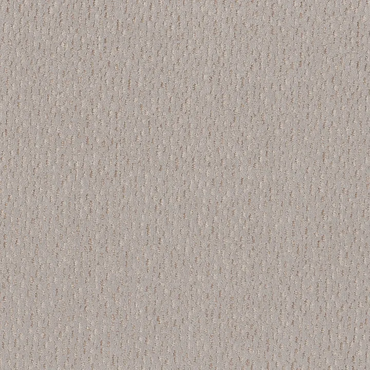 Anderson Tuftex Ambitious — Smooth Stones · ZZ327-00113 — flooring selection with LeviArs Design & Remodeling