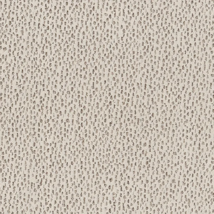 Anderson Tuftex Ambitious — Vintage Find · ZZ327-00105 — flooring selection with LeviArs Design & Remodeling