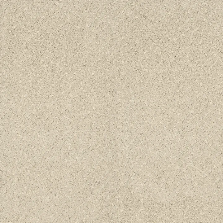 Anderson Tuftex Aperture — Buff Ivory · ZZ391-00102 — flooring selection with LeviArs Design & Remodeling