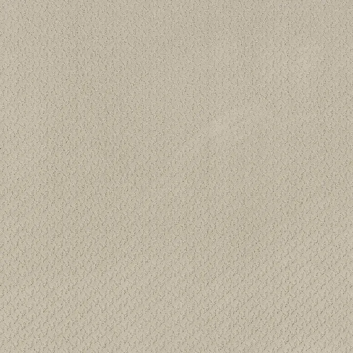 Anderson Tuftex Aperture — Canvas · ZZ391-00103 — flooring selection with LeviArs Design & Remodeling