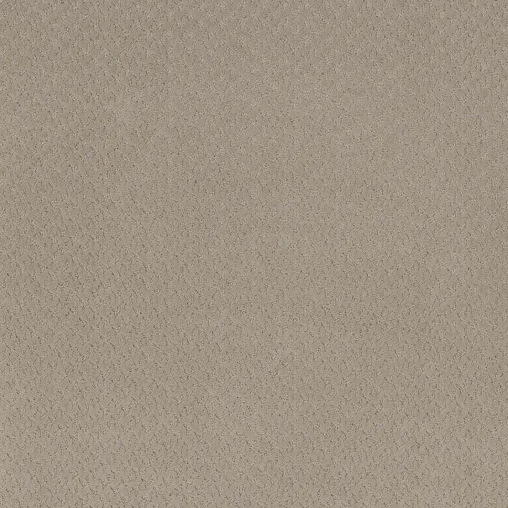Anderson Tuftex Aperture — Flax · ZZ391-00105 — flooring selection with LeviArs Design & Remodeling