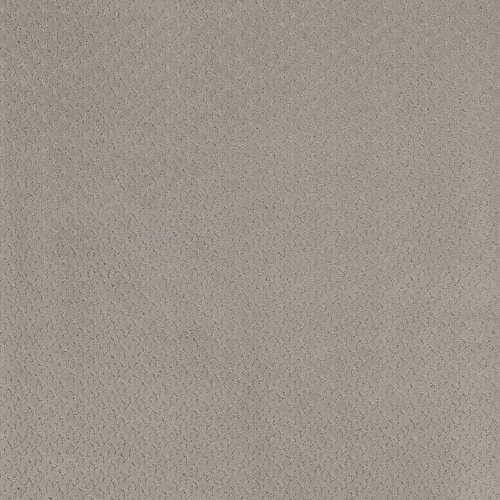 Anderson Tuftex Aperture — French Grey · ZZ391-00500 — flooring selection with LeviArs Design & Remodeling