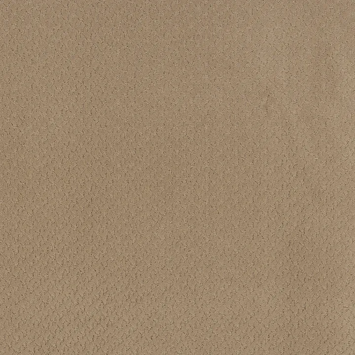 Anderson Tuftex Aperture — Honey · ZZ391-00700 — flooring selection with LeviArs Design & Remodeling