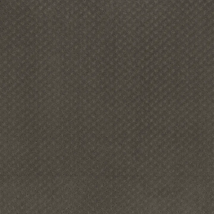 Anderson Tuftex Aperture — Mocha · ZZ391-00702 — flooring selection with LeviArs Design & Remodeling