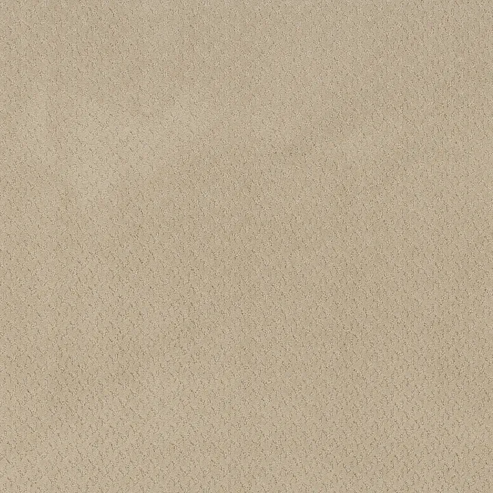 Anderson Tuftex Aperture — Sand · ZZ391-00106 — flooring selection with LeviArs Design & Remodeling