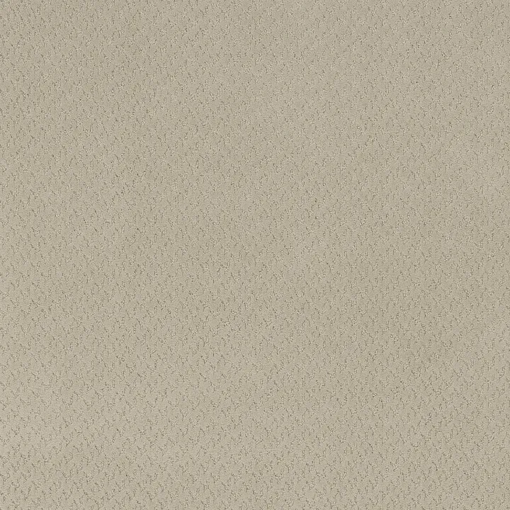 Anderson Tuftex Aperture — Silk · ZZ391-00104 — flooring selection with LeviArs Design & Remodeling