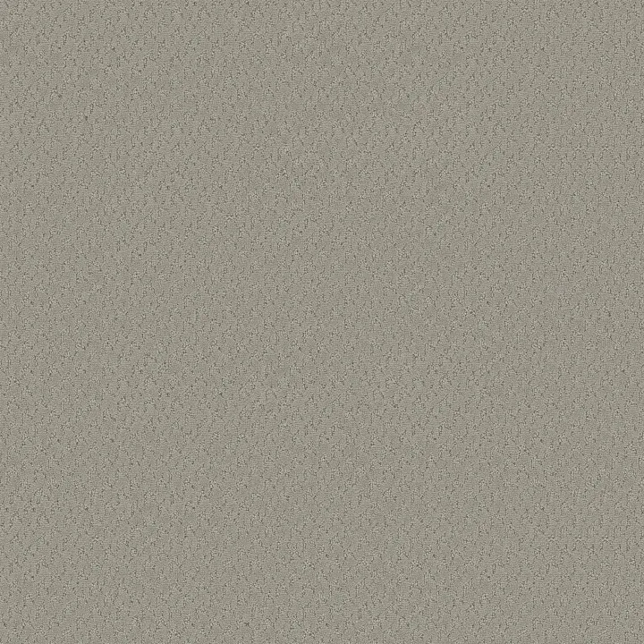 Anderson Tuftex Aperture — Stone Path · ZZ391-00501 — flooring selection with LeviArs Design & Remodeling