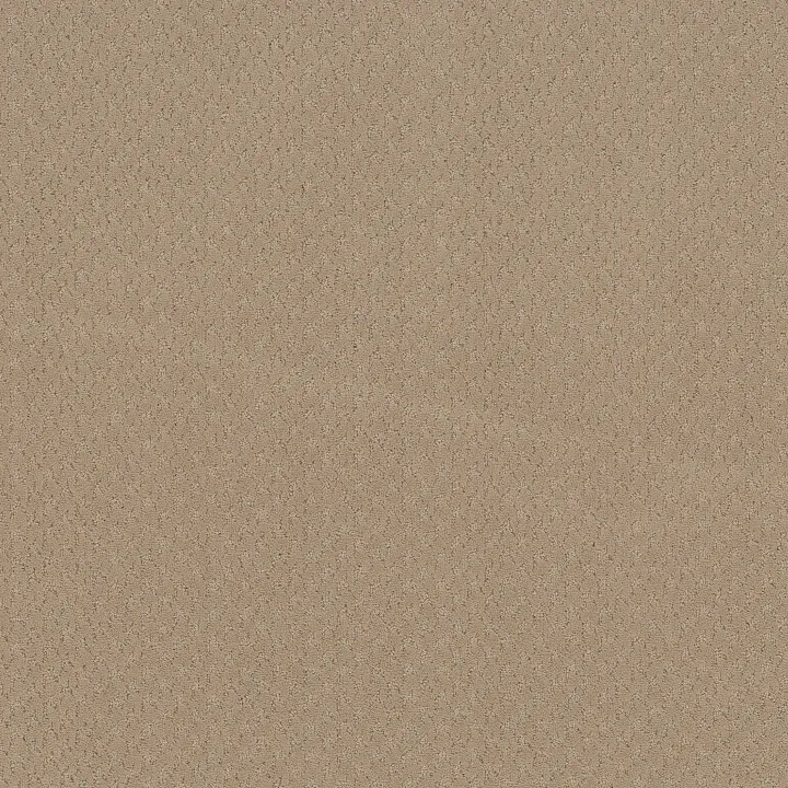 Anderson Tuftex Aperture — Warm Beige · ZZ391-00107 — flooring selection with LeviArs Design & Remodeling