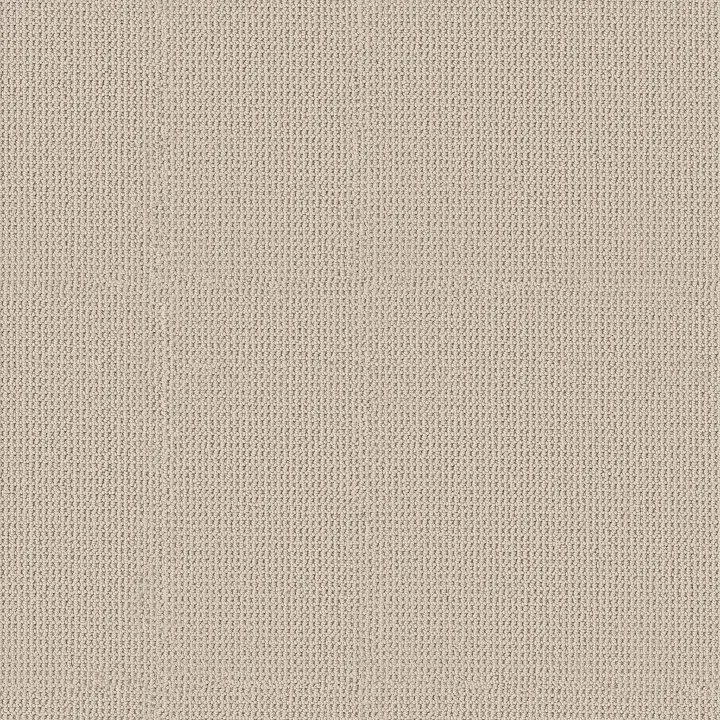 Anderson Tuftex Arden Park — Drift · ZZ286-00114 — flooring selection with LeviArs Design & Remodeling