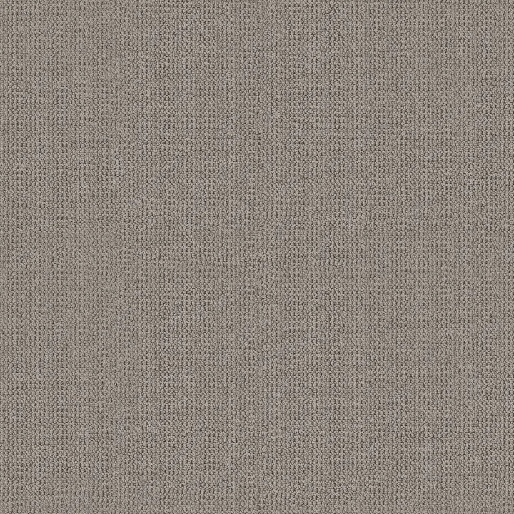 Anderson Tuftex Arden Park — Evening Haze · ZZ286-00556 — flooring selection with LeviArs Design & Remodeling