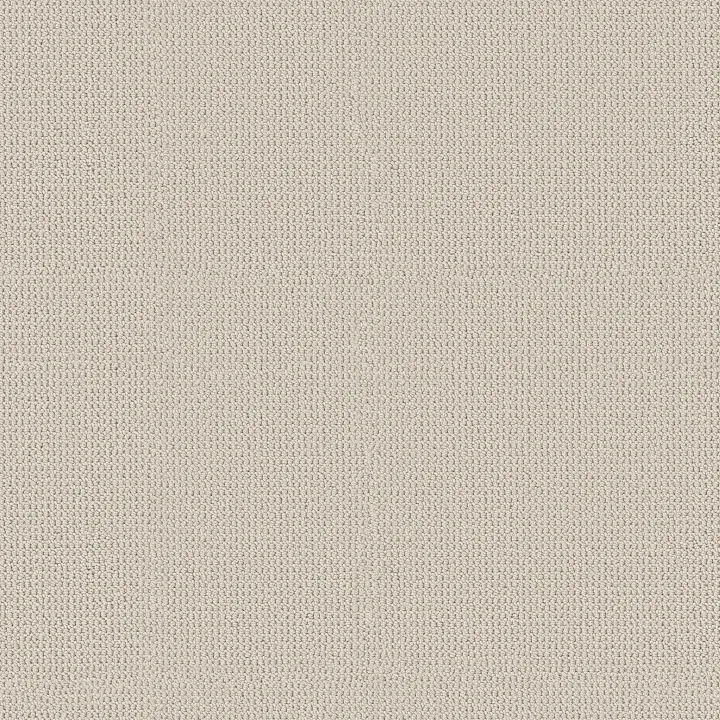 Anderson Tuftex Arden Park — Froth · ZZ286-00111 — flooring selection with LeviArs Design & Remodeling