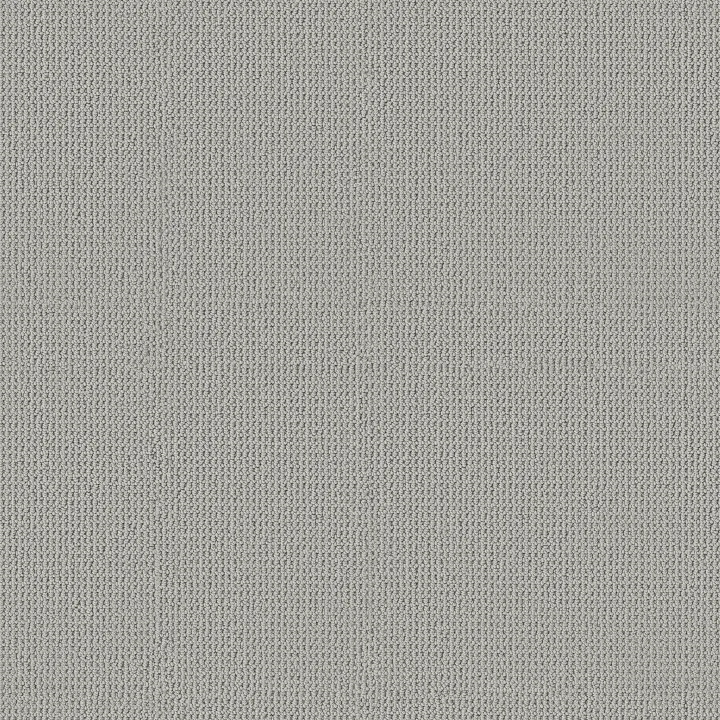 Anderson Tuftex Arden Park — Lunar · ZZ286-00543 — flooring selection with LeviArs Design & Remodeling