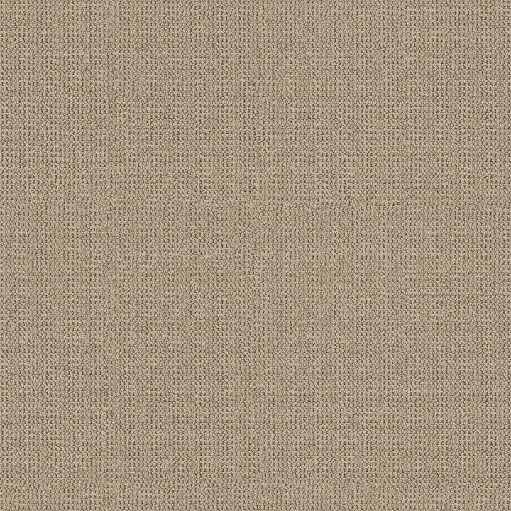 Anderson Tuftex Arden Park — Nutshell · ZZ286-00273 — flooring selection with LeviArs Design & Remodeling