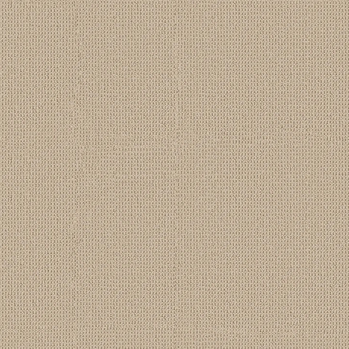 Anderson Tuftex Arden Park — Parchment · ZZ286-00123 — flooring selection with LeviArs Design & Remodeling