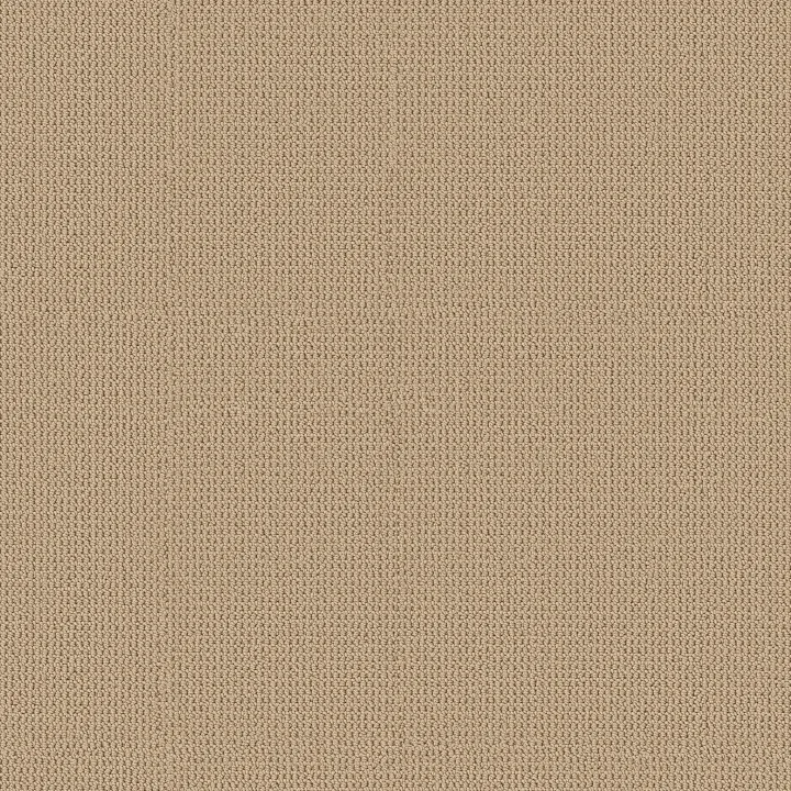 Anderson Tuftex Arden Park — Powdered Gold · ZZ286-00225 — flooring selection with LeviArs Design & Remodeling