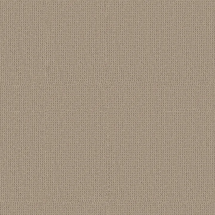 Anderson Tuftex Arden Park — Sandstorm · ZZ286-00175 — flooring selection with LeviArs Design & Remodeling
