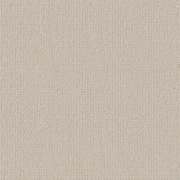Anderson Tuftex Arden Park — Seaside · ZZ286-00112 — flooring selection with LeviArs Design & Remodeling