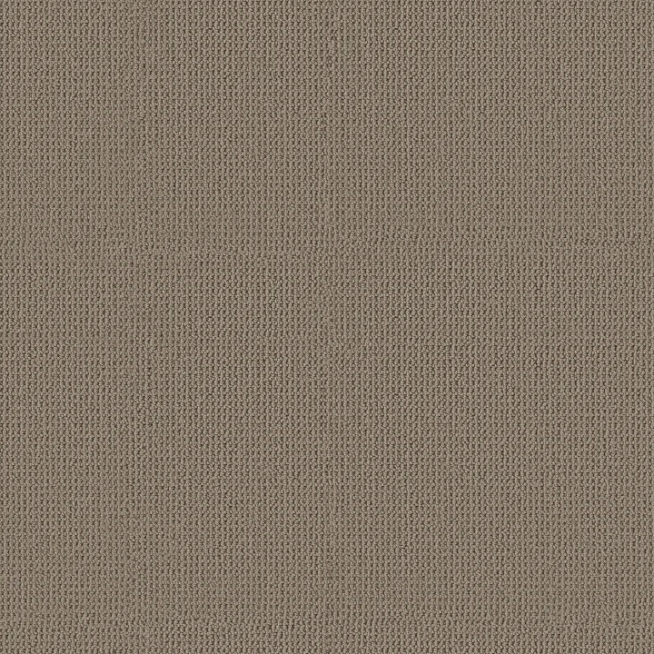 Anderson Tuftex Arden Park — Taupe Gray · ZZ286-00757 — flooring selection with LeviArs Design & Remodeling