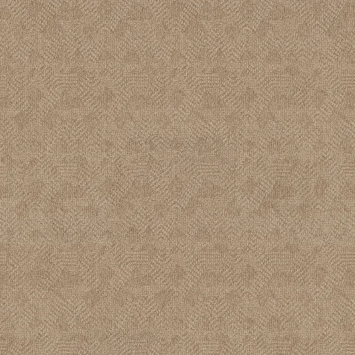 Anderson Tuftex Ario — Antique · ZZ222-00116 — flooring selection with LeviArs Design & Remodeling