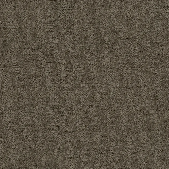 Anderson Tuftex Ario — Apparition · ZZ222-00577 — flooring selection with LeviArs Design & Remodeling