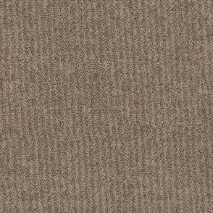 Anderson Tuftex Ario — Broken Arrow · ZZ222-00755 — flooring selection with LeviArs Design & Remodeling