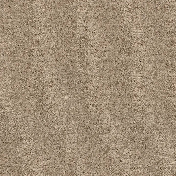 Anderson Tuftex Ario — Coastal Home · ZZ222-00115 — flooring selection with LeviArs Design & Remodeling
