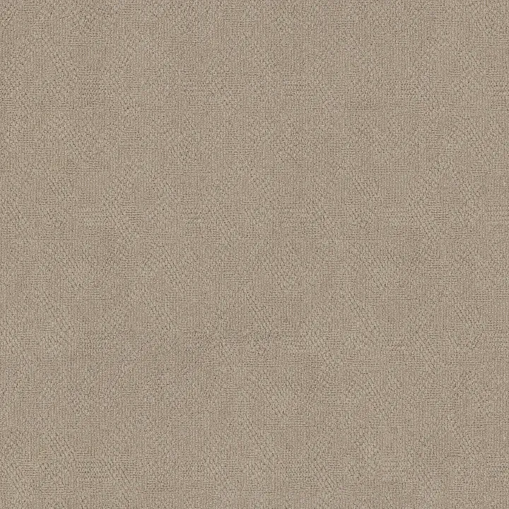 Anderson Tuftex Ario — Cocoa Sand · ZZ222-00752 — flooring selection with LeviArs Design & Remodeling